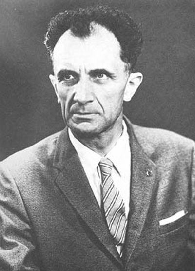 Adolf Busemann