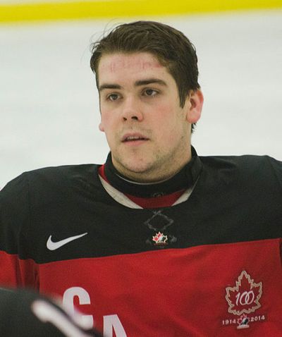 Anthony Gale (sledge hockey)
