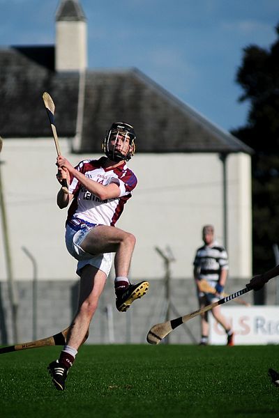 Brian Molloy (hurler)