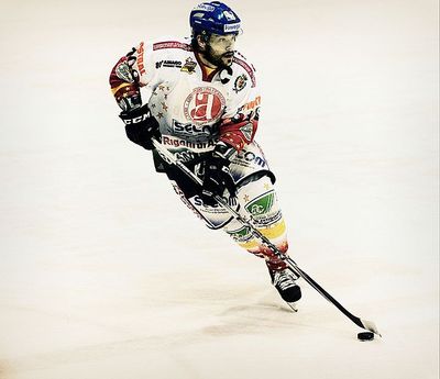 David Borrelli (ice hockey)