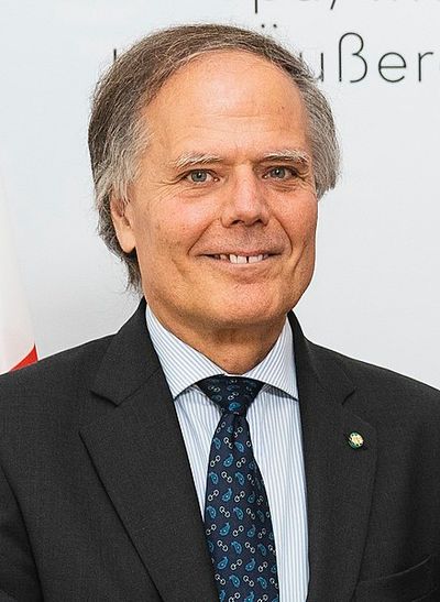 Enzo Moavero Milanesi