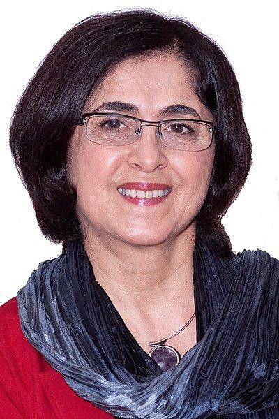 Hamide Akbayir