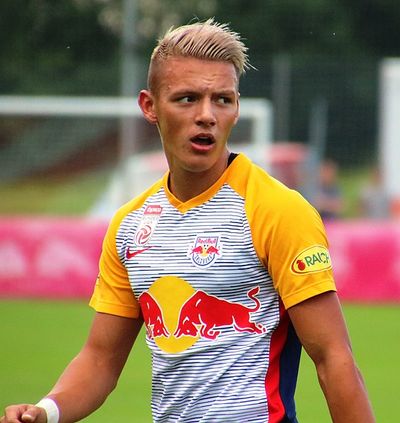Hannes Wolf (footballer)