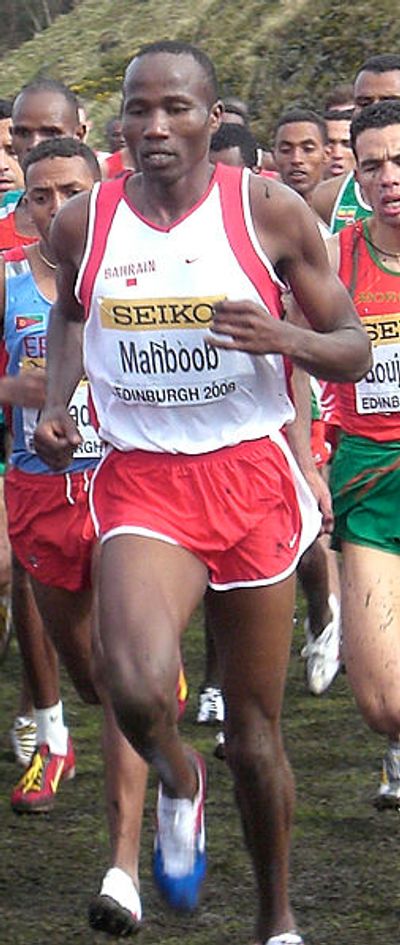 Hasan Mahboob