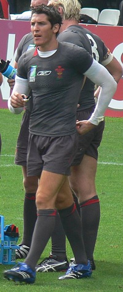 James Hook (rugby union)