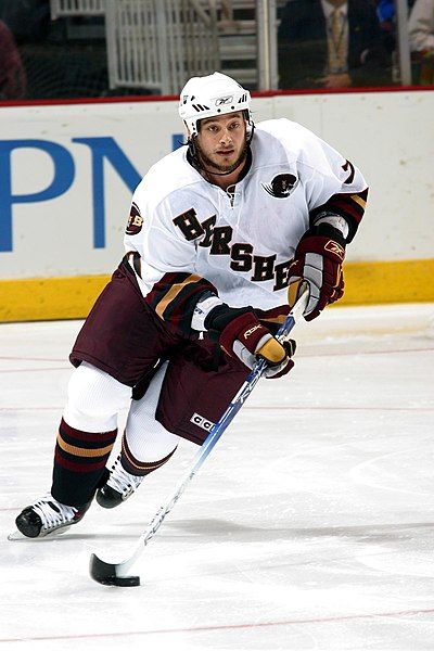 Jean-François Fortin (ice hockey)