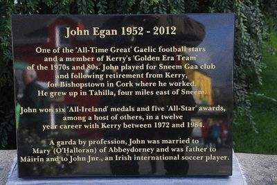 John Egan (Gaelic footballer)