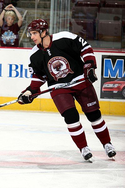Jonas Johansson (ice hockey, born 1984)