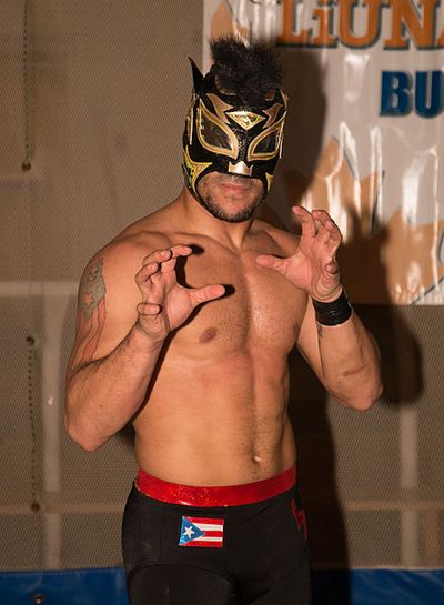 Lince Dorado