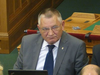 László Földi (politician)