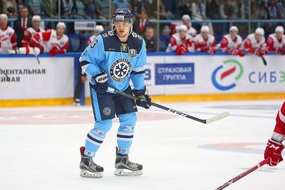Nikolai Demidov (ice hockey)