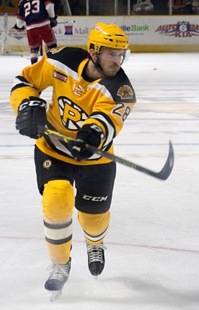 Paul Carey (ice hockey)