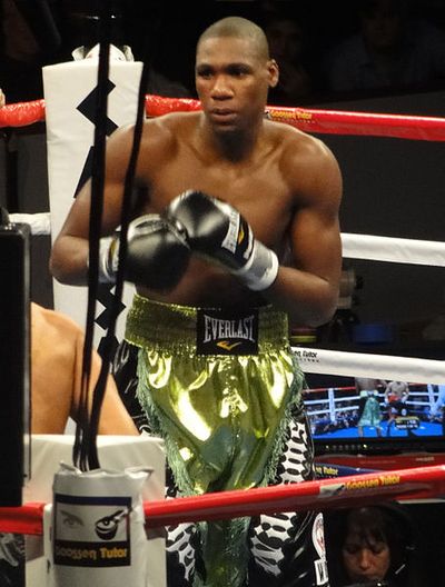 Paul Williams (boxer)
