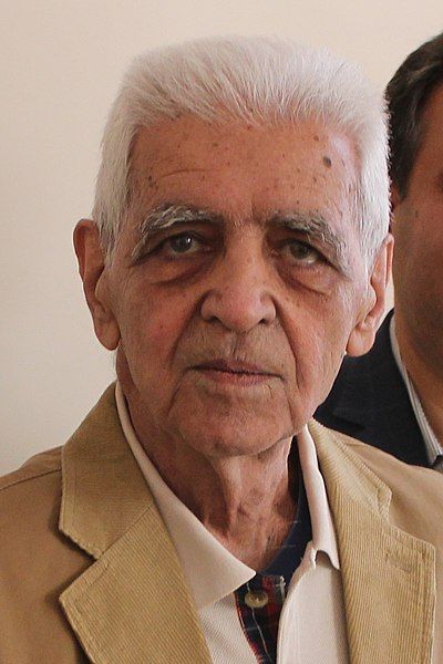 Sadegh Malek Shahmirzadi