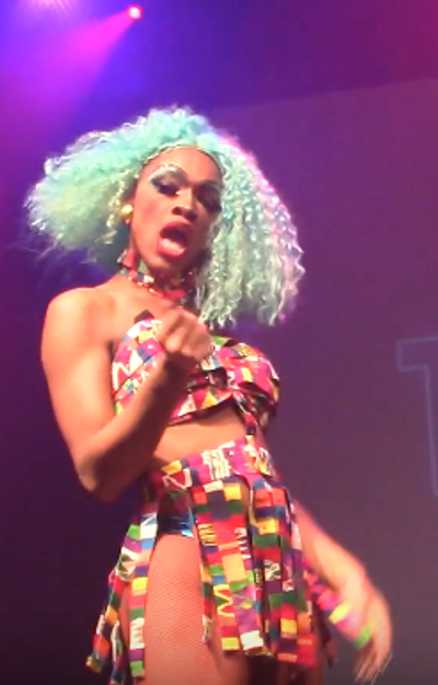 The Vixen (drag queen)