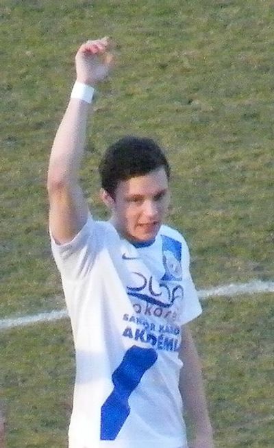 Tibor Ladányi