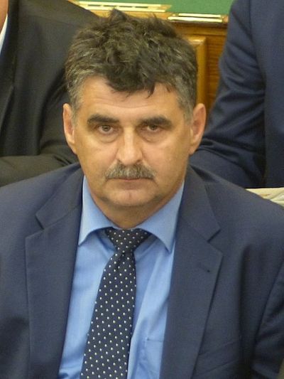 Tibor Pogácsás