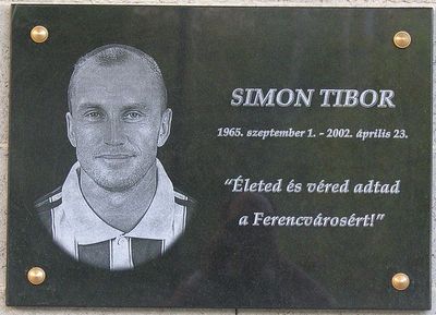 Tibor Simon