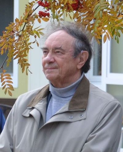 Viktor Panin (physicist)