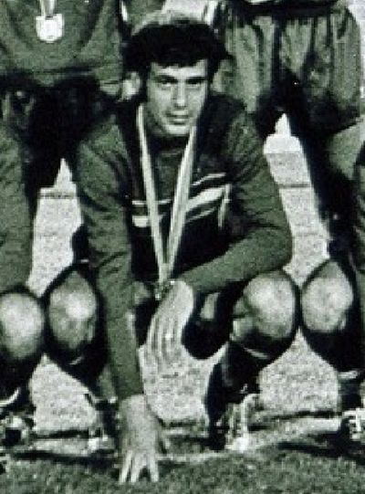 Viorel Năstase