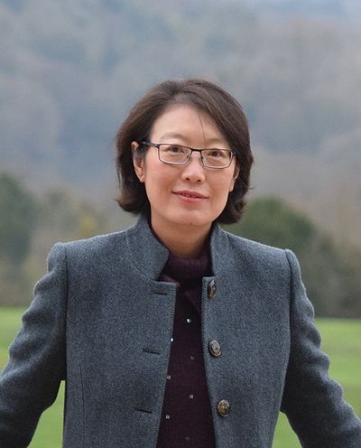 Wei Yang (urban designer)