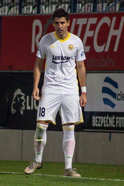Zoran Gajić (footballer)